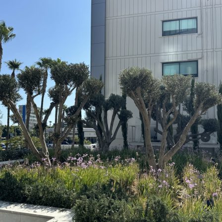 portgate ground floor 5