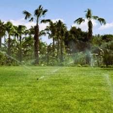 IMG_8636B IRRIGATION 6